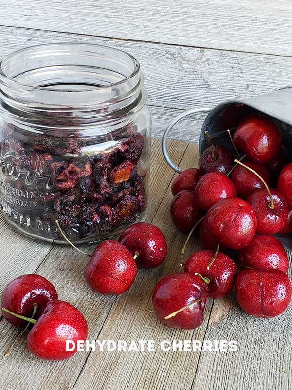 dehydrated cherries in a jar with fresh cherries in a steel serving dish on a wooden surface