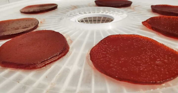 Dried rounds of cranberry sauce to make cranberry jelly fruit leathers