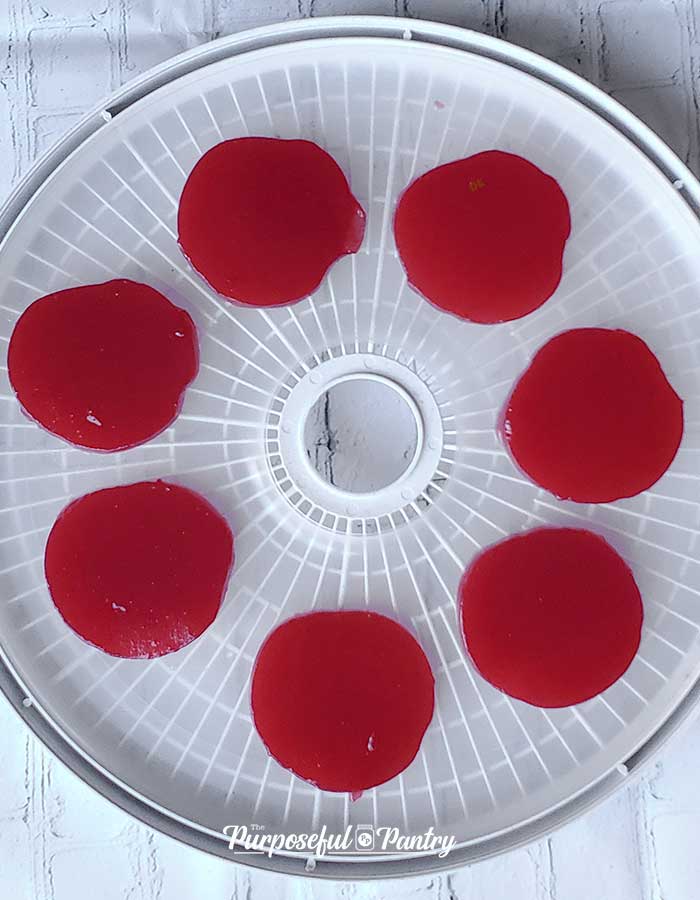 Sliced rounds of jellied cranberry sauce on a Nesco Dehydrator tray