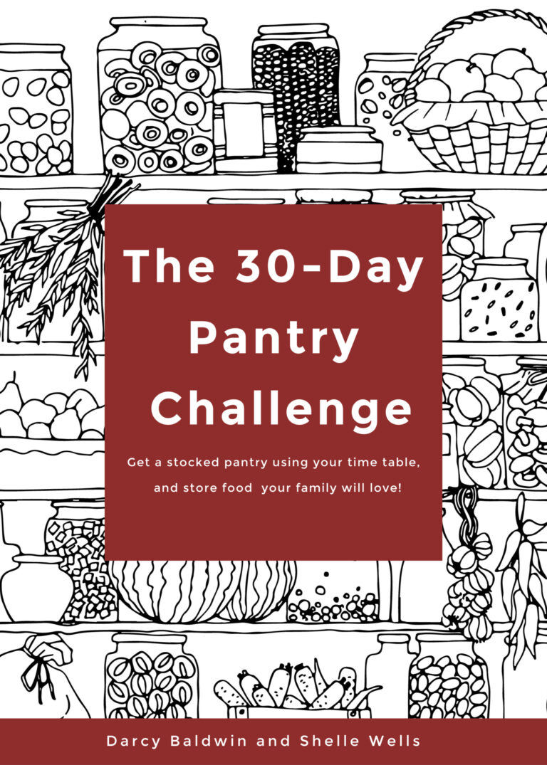Book Cover of the 30 Day Pantry Challenge