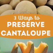 Ways to preserve cantaloupe for longer freshness.