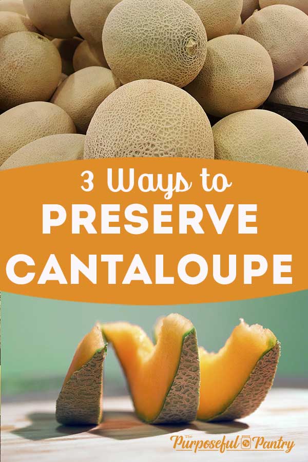 cantaloup frais avec tranches et tranches coupées en deux pour l'image Pinterest