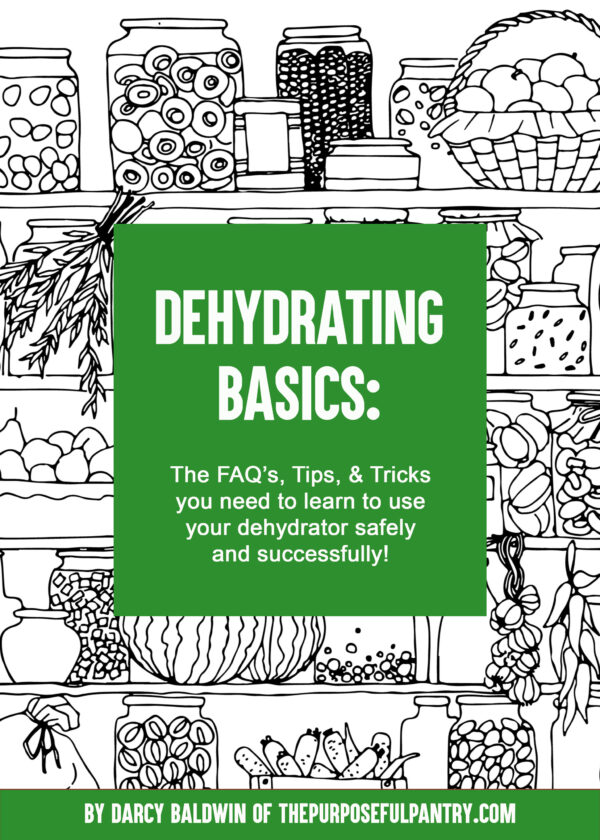 Dehydrating Basics ebook cover page