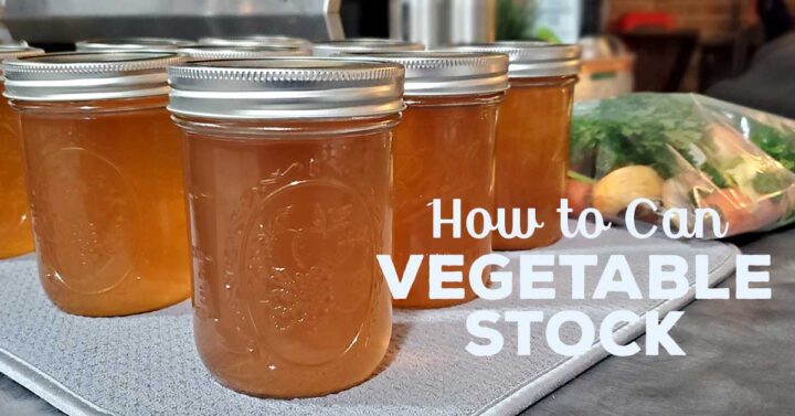 Jars of pressure canned vegetable stock