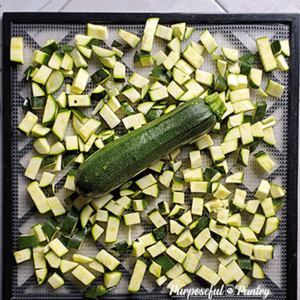 Diced zucchini and a whole zucchini on an Excalibur Dehydrator Tray.