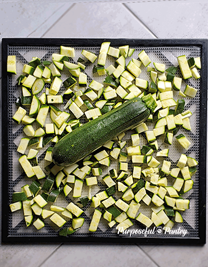 Diced zucchini and a whole zucchini on an Excalibur Dehydrator Tray.