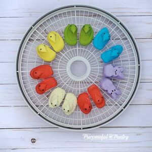 Nesco dehydrator tray with Peeps marshmallows in various colors and flavors