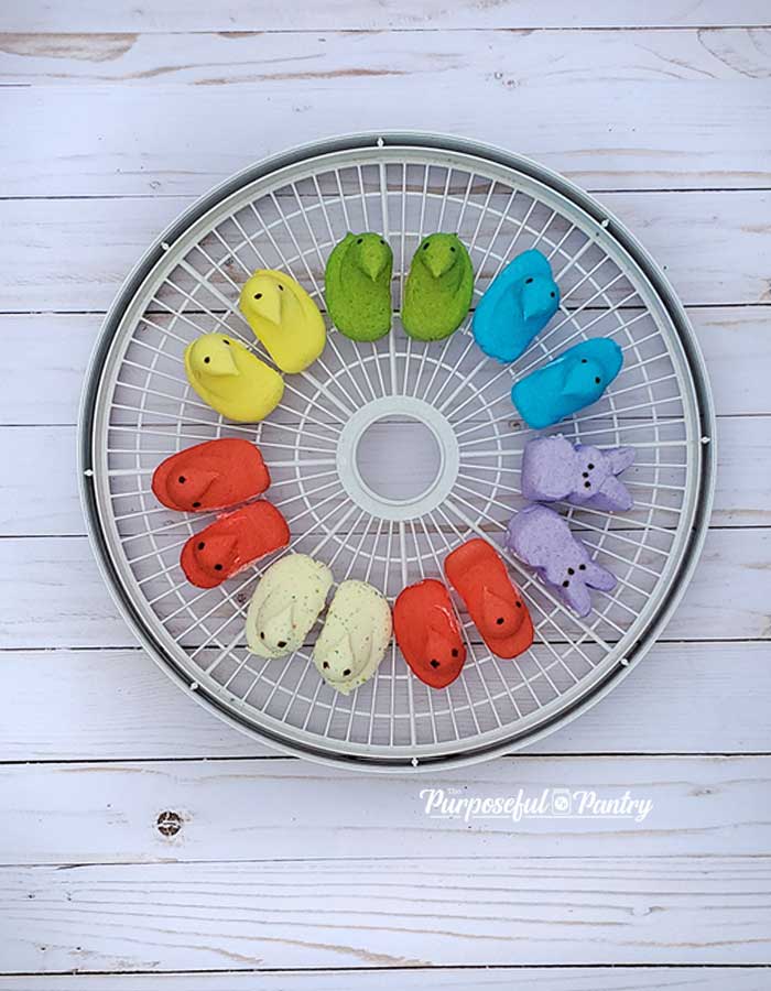 Nesco dehydrator tray with Peeps marshmallows in various colors and flavors