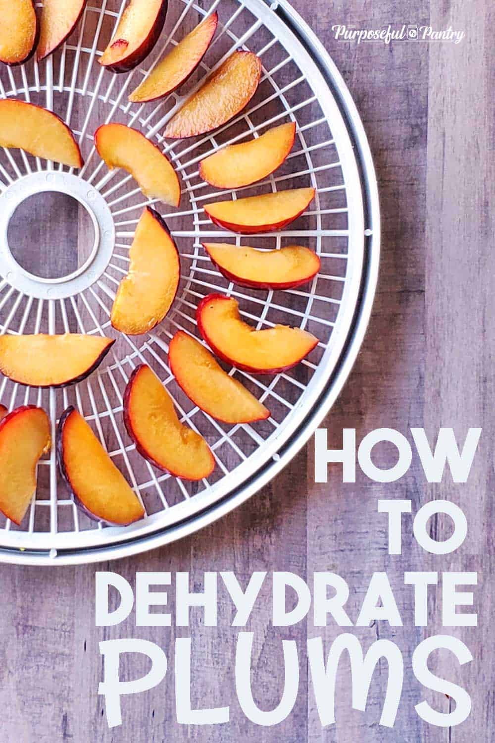 How to Dehydrate Plums - The Purposeful Pantry