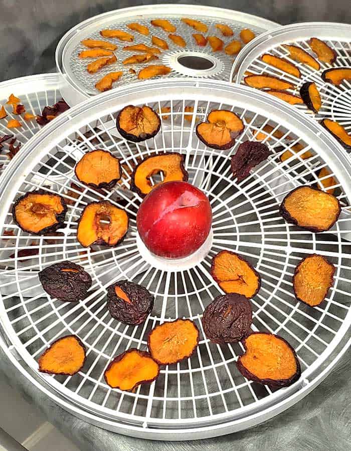 Dehydrator trays with sliced plums, halved plums and a fresh plum - all being dried