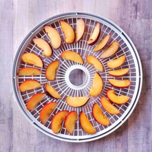 Nesco dehydrator tray full of plum slices to be dried