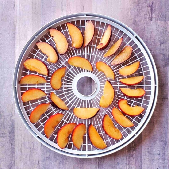 How to Dehydrate Plums - The Purposeful Pantry
