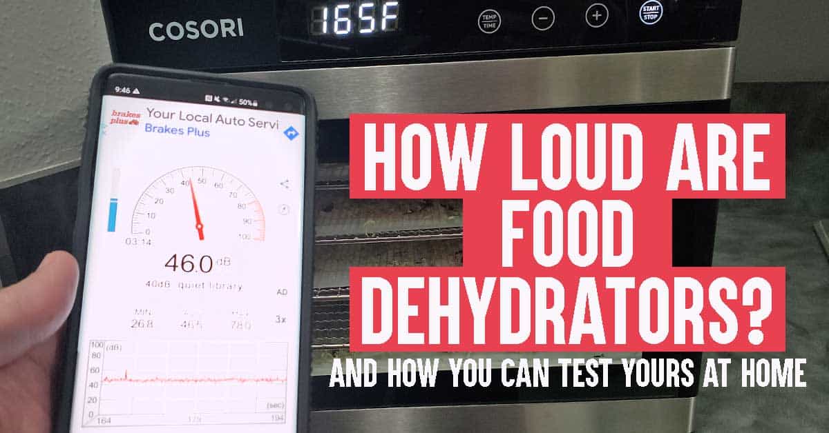 How Loud is a Dehydrator The Purposeful Pantry