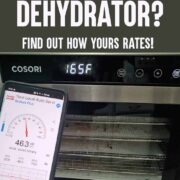 Cosori Dehydrator and the Sound Meter app on a Samsung Galaxy s10 phone to test the decibel level of dehydrator