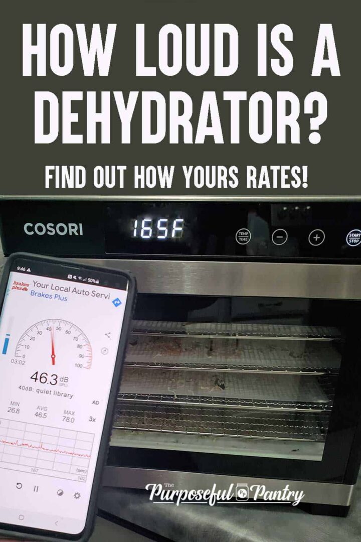 Cosori Dehydrator and the Sound Meter app on a Samsung Galaxy s10 phone to test the decibel level of dehydrator