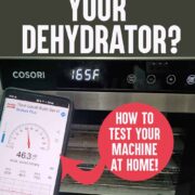 Cosori Dehydrator and the Sound Meter app on a Samsung Galaxy s10 phone to test the decibel level of dehydrator