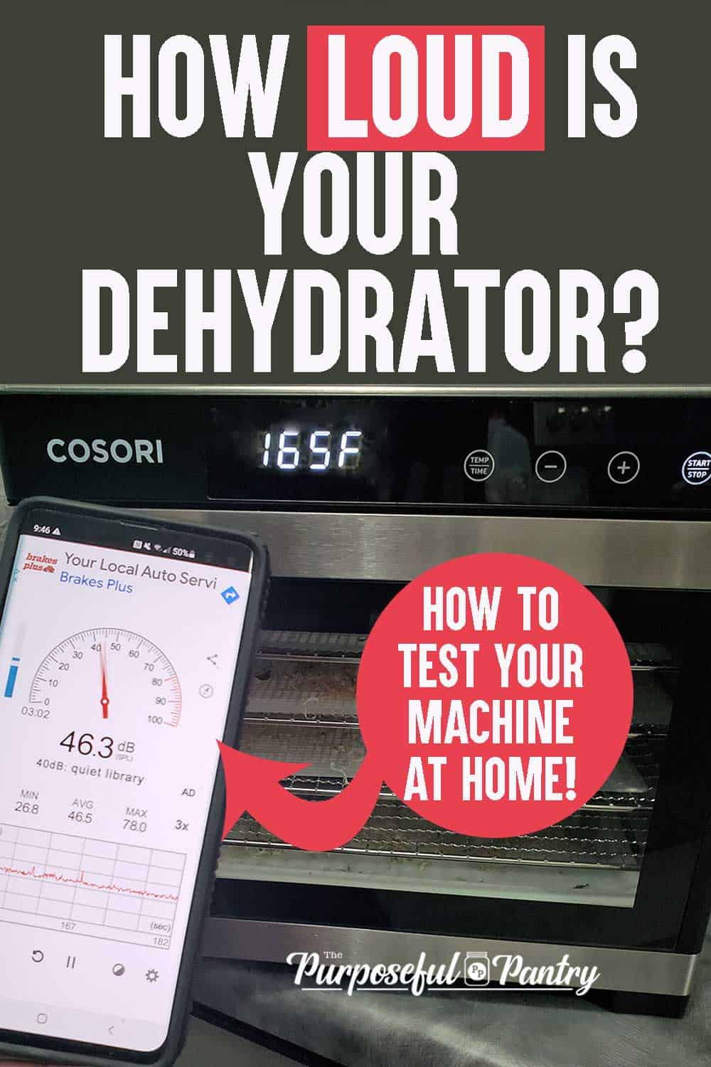How Loud is a Dehydrator The Purposeful Pantry