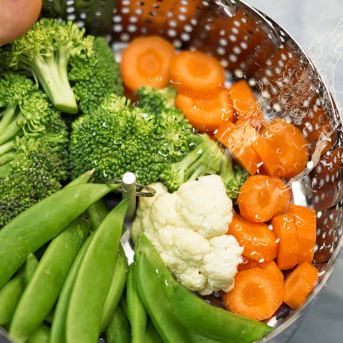 Broccoli, carrots, cauliflower and green beans preparing to be blanched