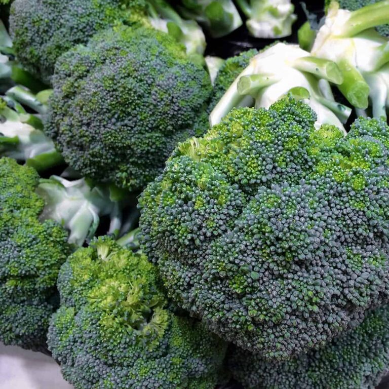 Broccoli bunch