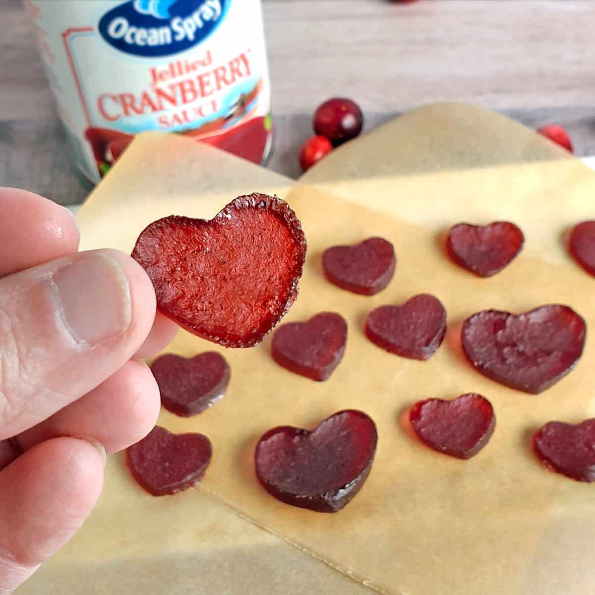 Dehydrate Cranberry Sauce into Gummies!