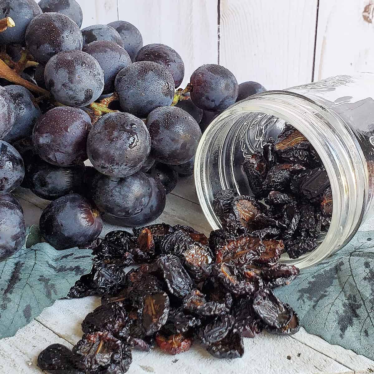 How to Dehydrate Grapes for Homemade Raisins