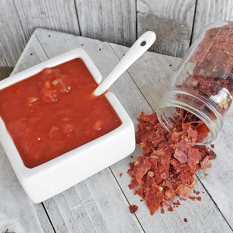 Picante sauce in a white serving dish next to dehydrated picante sauce chips