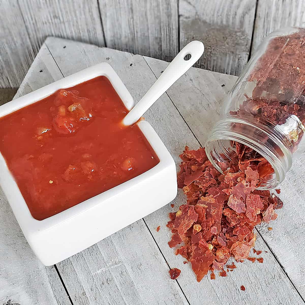 Picante sauce in a white serving dish next to dehydrated picante sauce chips