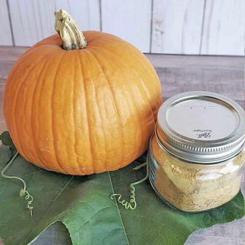 Fresh pumpkin and a jar of dehydrated pumpkin powder on a pumpkin leaf