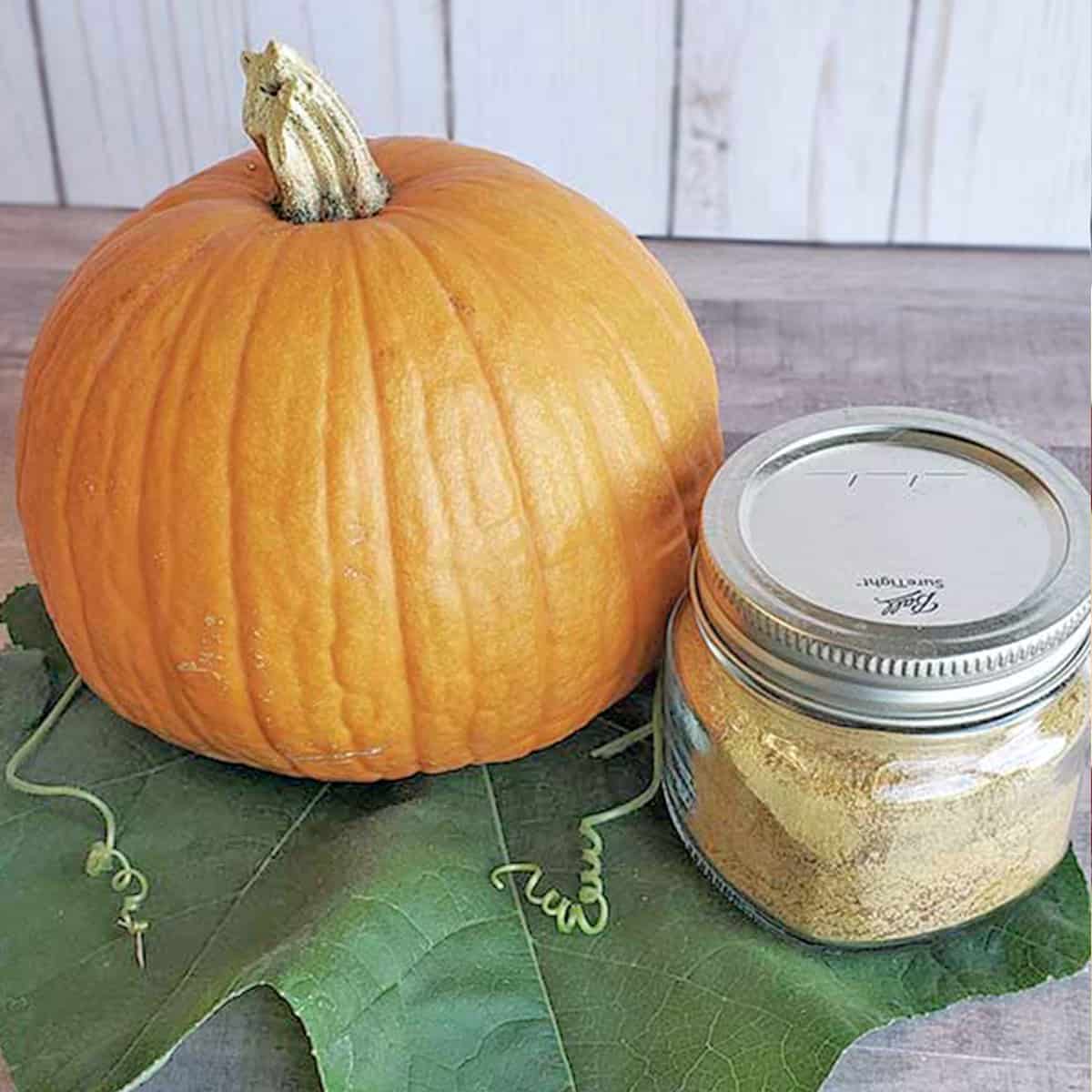 Dehydrating Pumpkin and Make Pumpkin Powder