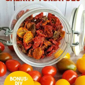 Glass jar of dehydrated tomatoes spilling onto table of fresh cherry and grape tomatoes