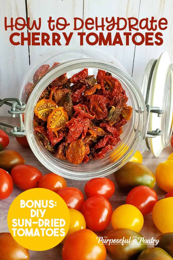 Glass jar of dehydrated tomatoes spilling onto table of fresh cherry and grape tomatoes