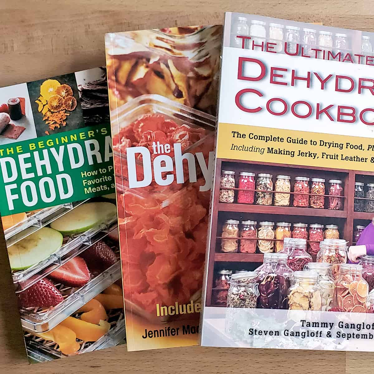 A stack of the best books about dehydrating