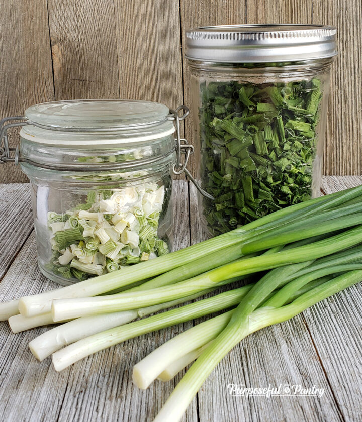 Two dehydrated green onion jars on a wooden table.