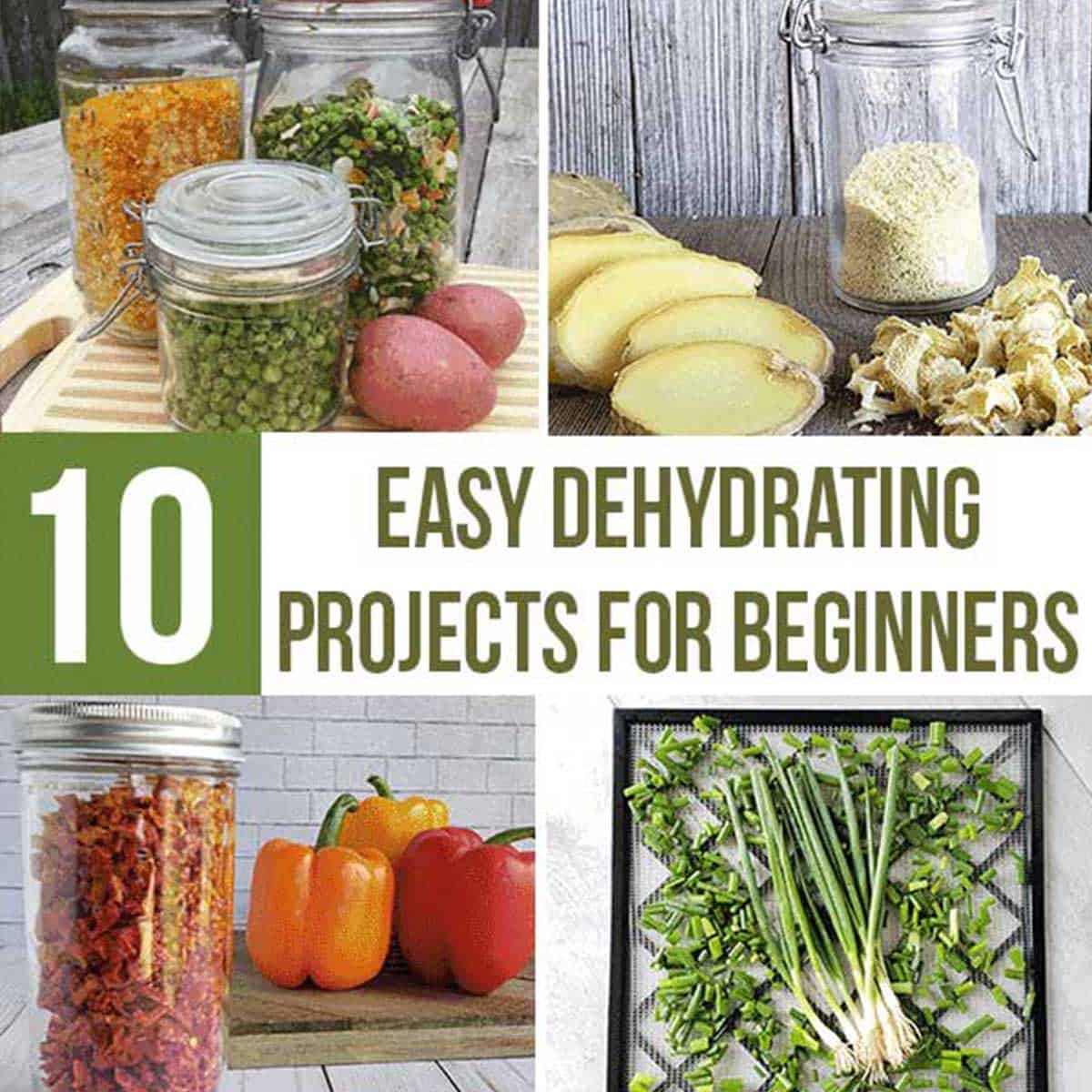 10 Easy Dehydrating Projects for Beginners