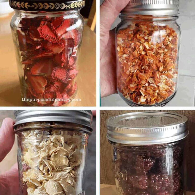 4 jars of dehydrated foods in the conditioning phase to even moisture