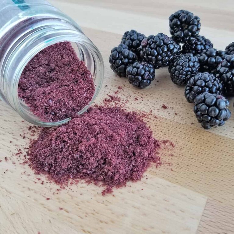 Blackberry powder made from fresh dried blackberries