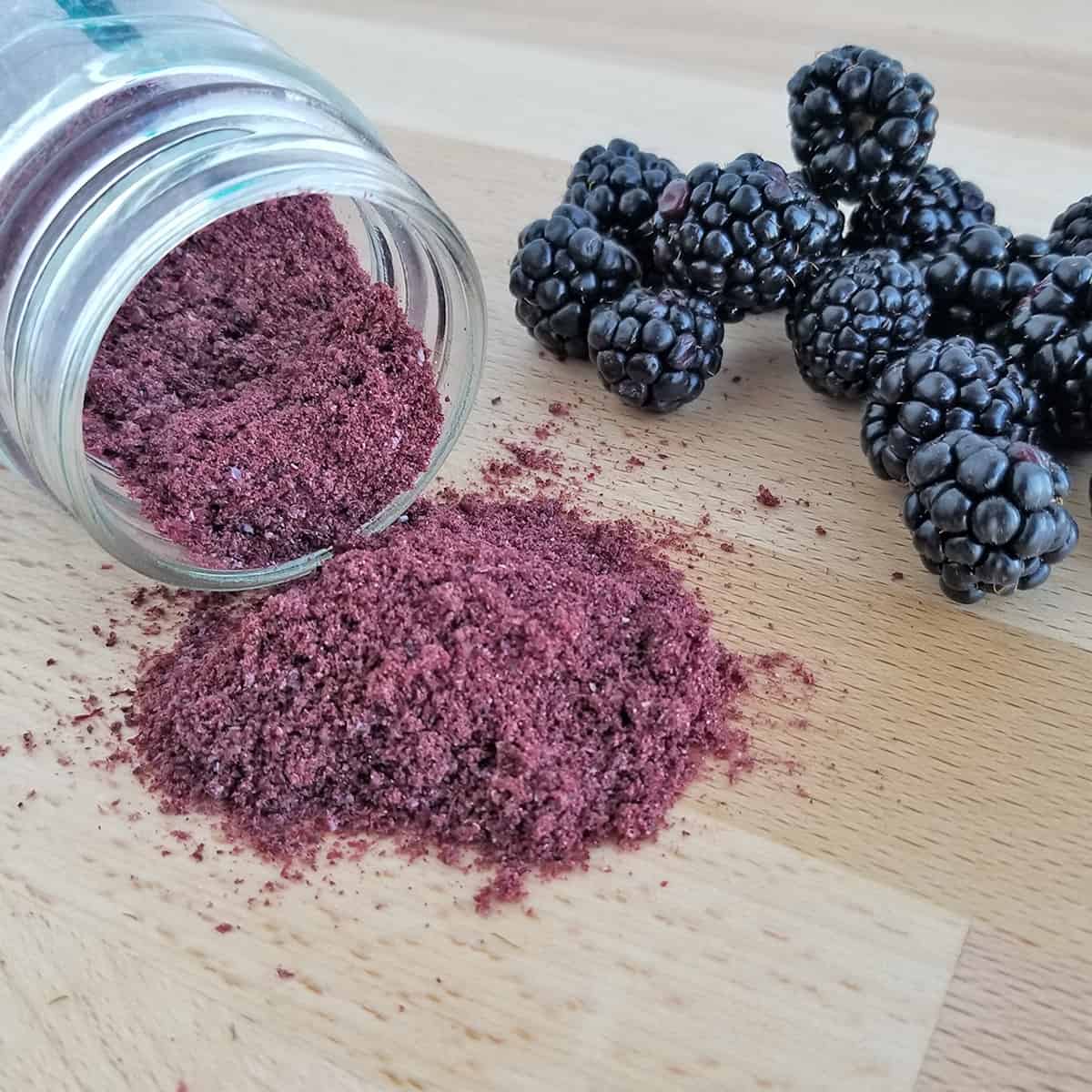 How to Dehydrate Blackberries & Make Blackberry Powder