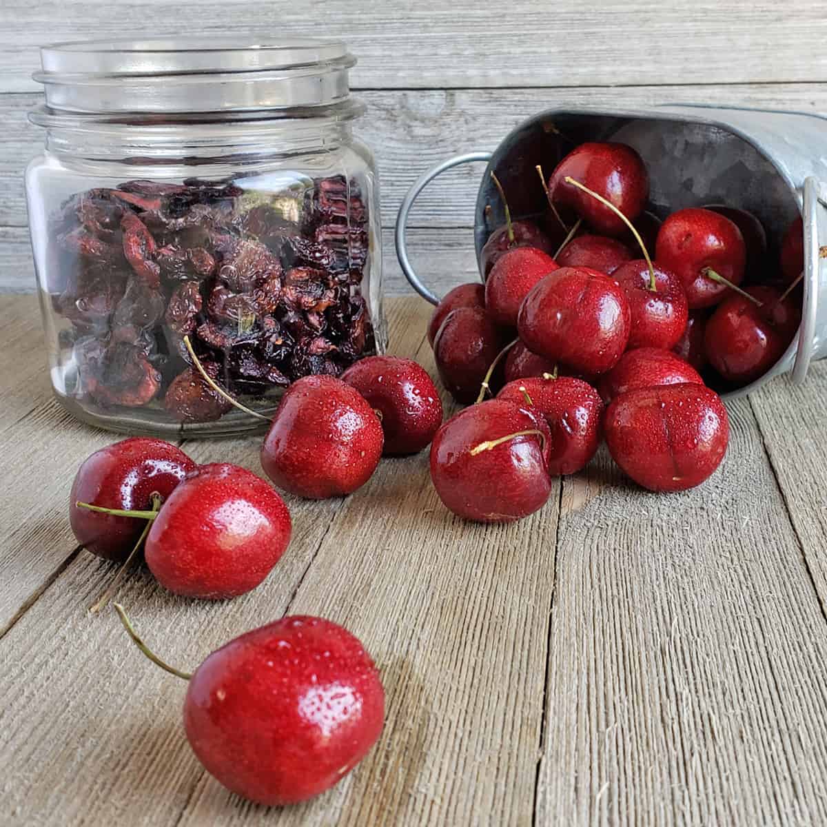 Jar of dried cherries next to fresh cherries spilling from metal container