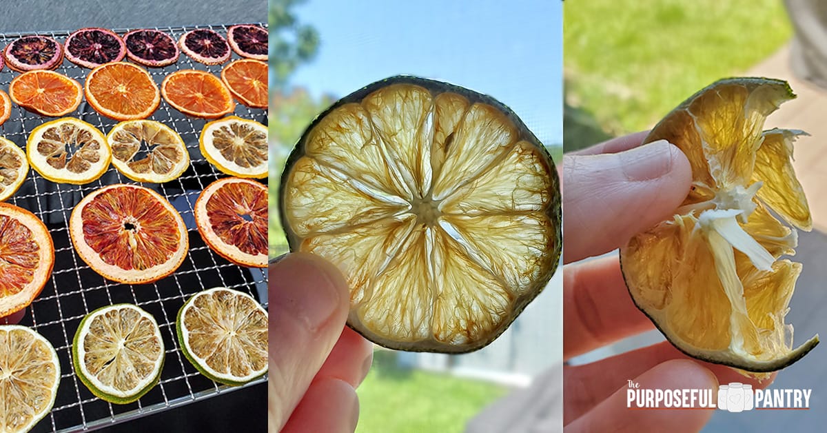 Dehydrated citrus rounds on a Cosori dehydrator tray and examples of what a dried lime slice looks like