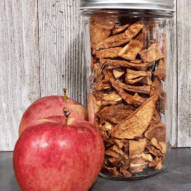 Jar of dried apple slices with fresh apples