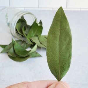 Dried bayleaf in the foreground with a jar of dried bay leaves on a kitchen countertop