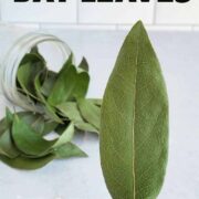 How to dehydrate bay leaves.