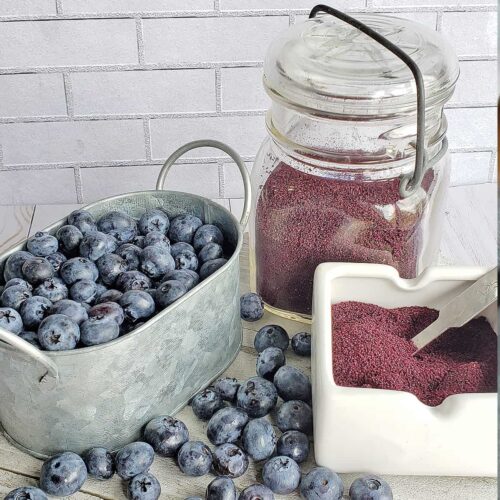 How to Dehydrate Blueberries & Make Blueberry Powder The Purposeful