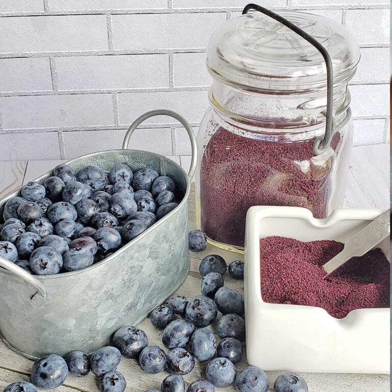 Fresh blueberries on a wooden background with a container of dehydrated blueberry powder with silver serving spoon