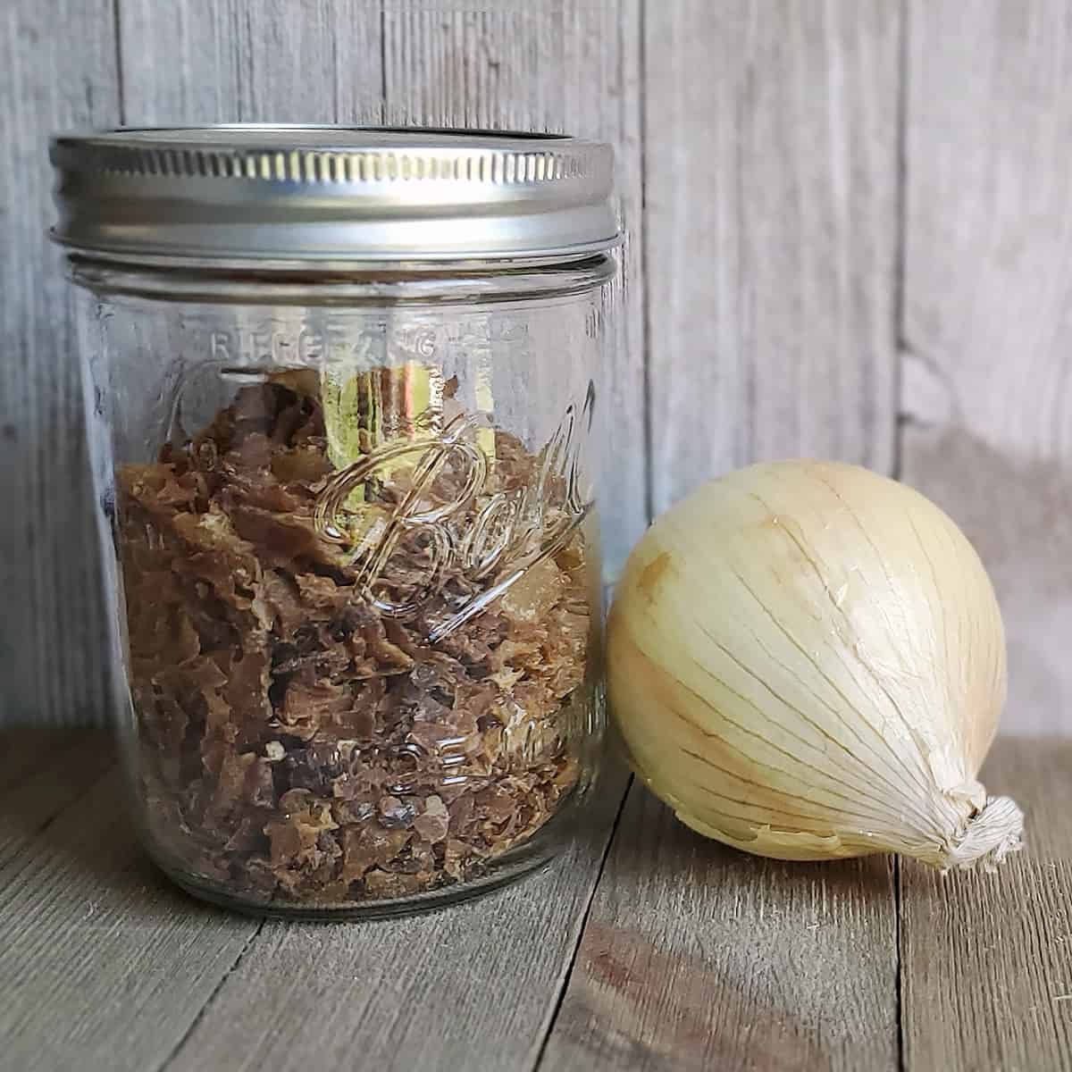 Mason jar of dehydrated caramelized onion with a fresh onion on a wooden surface