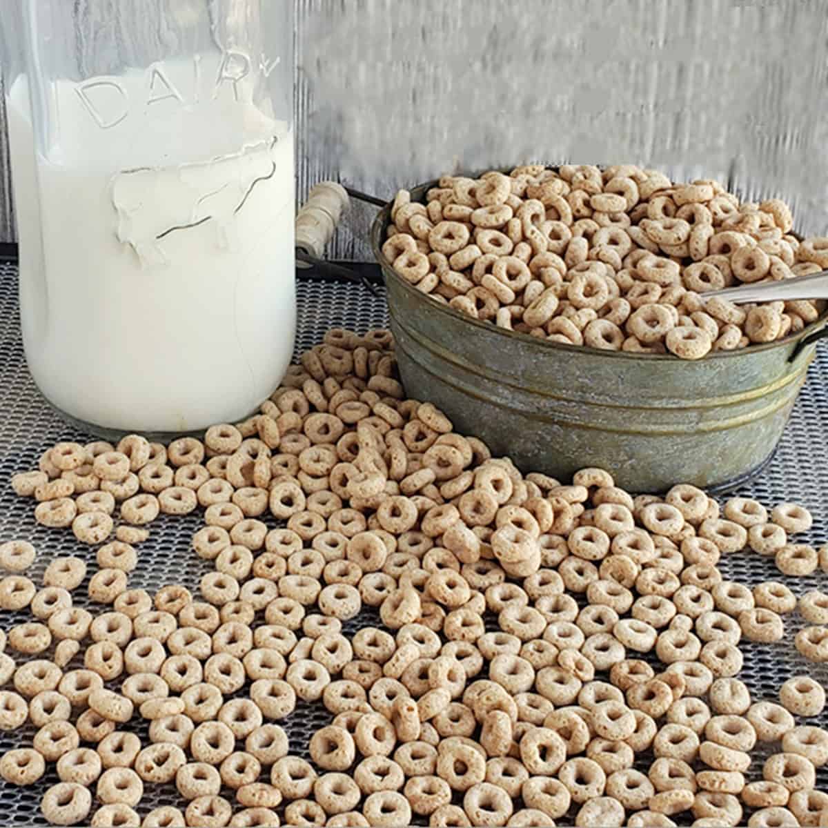 Cereal and milk on an Excalibur dehydrator tray of cereal being refreshed