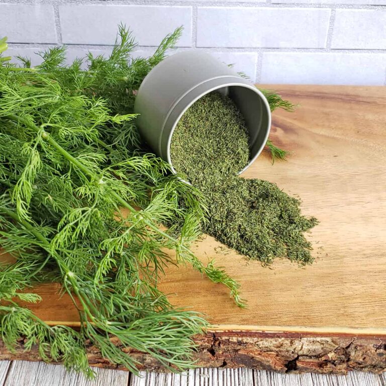 Dill on a wooden surface with dried dill in a spice jar