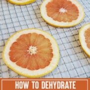 grapefruit slices on a dehydrator tray ready to be dried.