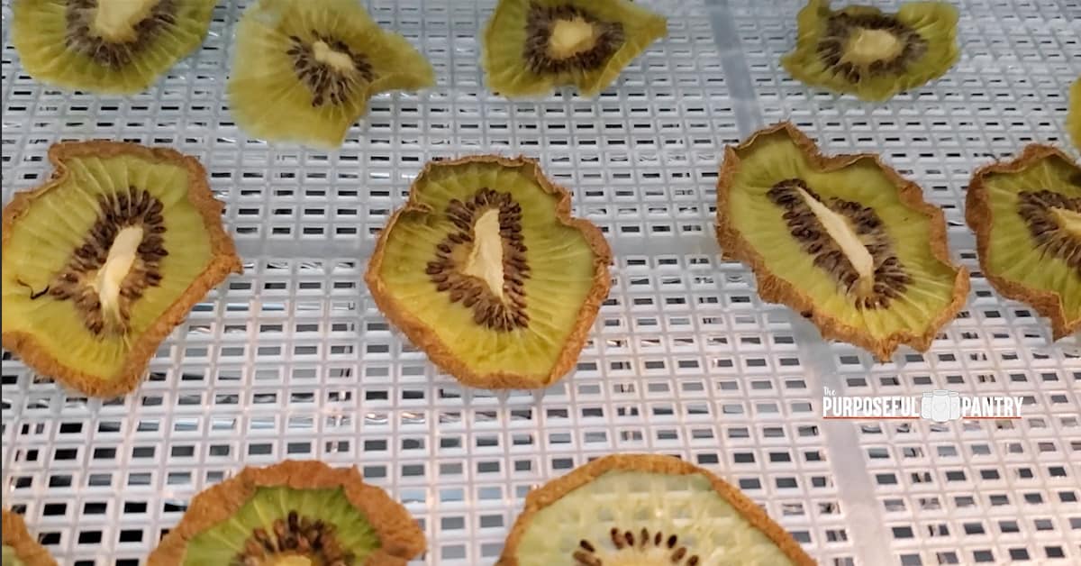 Dehydrated kiwi slices on a Cosori dehydrator tray