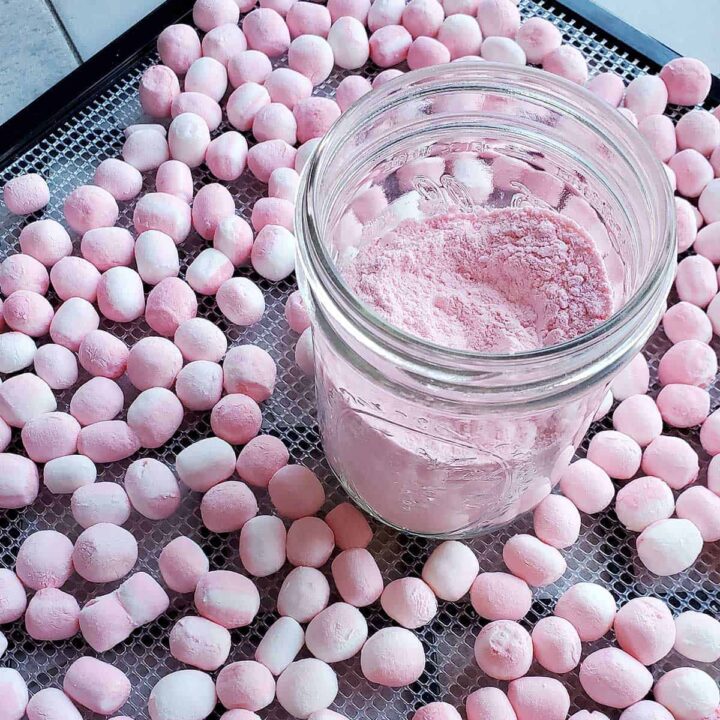 Excalibur dehydrator tray of dehydrated peppermint marshmallows and jar of marshmallow powder